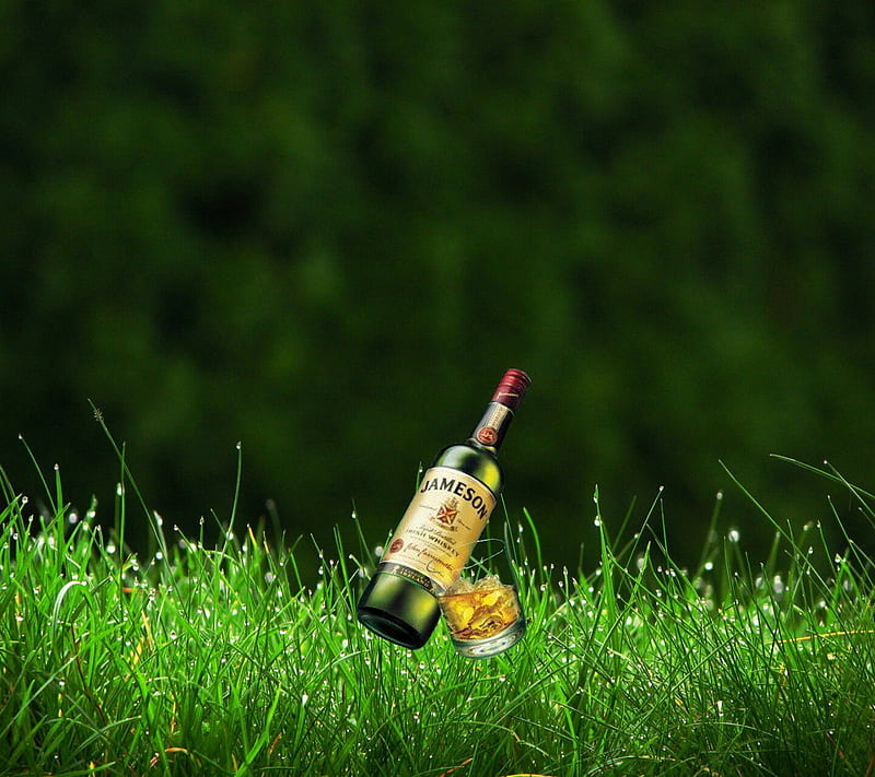 Jameson 1, alcohol, irish, pernod ricard, whisky, HD wallpaper
