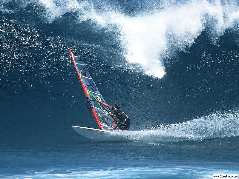 Windsurfing Thrill, board, ocean, neil pryde, sails, waves, HD wallpaper