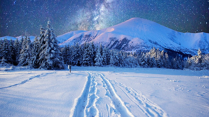 Milky Way Over the Snowy Mountains, sky, trees, winter, snow, pine, mountains, zing, nature, starry sky, HD wallpaper