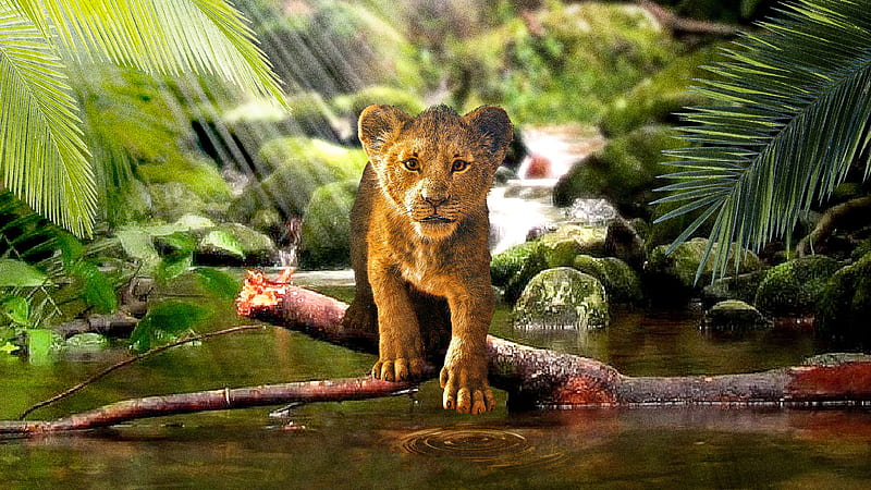 The Lion King Simba 2019, the-lion-king, lion, 2019-movies, movies, disney, simba, behance, HD wallpaper