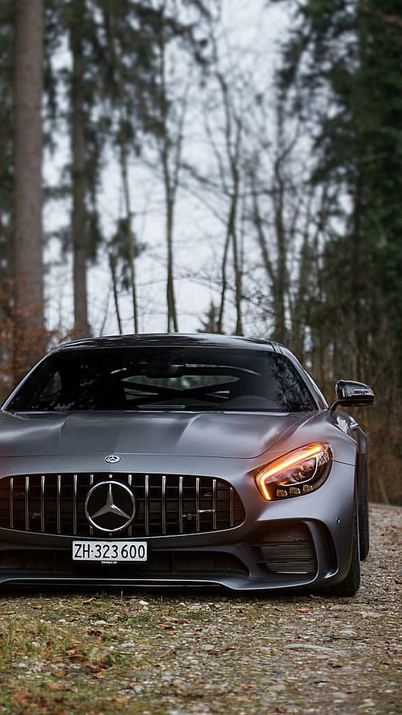 Mercedes AMG GT, car, supercar sports, america, new, forest, HD phone wallpaper