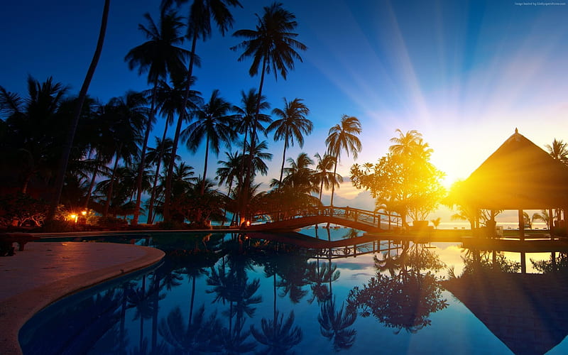 hotel, pool, thailand, sunset, phuket, HD wallpaper