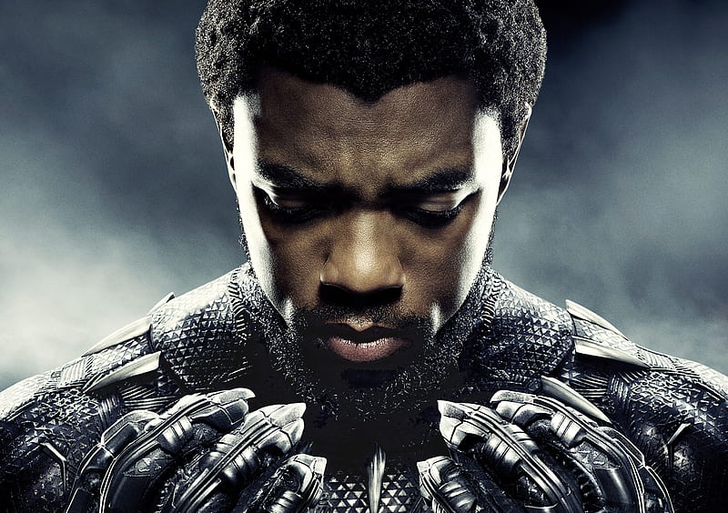 Chadwick Boseman As Black Panther , chadwick-boseman, black-panther, 2018-movies, movies, HD wallpaper