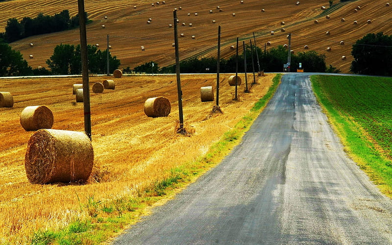 Country Road, autumn, harvest, bales, straw, telegraph, HD wallpaper