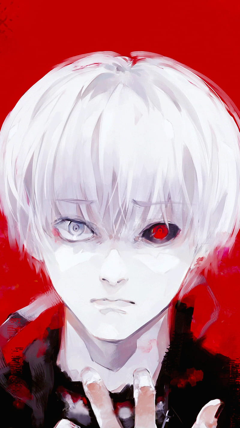 Amazonin Buy Tokyo ghoul  anime Book Online at Low Prices in India  Tokyo  ghoul  anime Reviews  Ratings