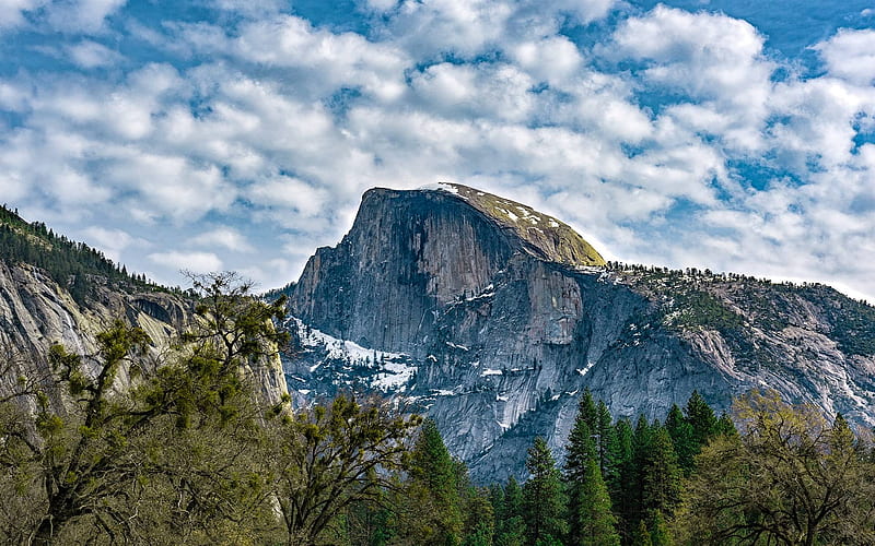 Half Dome, mountain, forest, cool, nature, fun, HD wallpaper