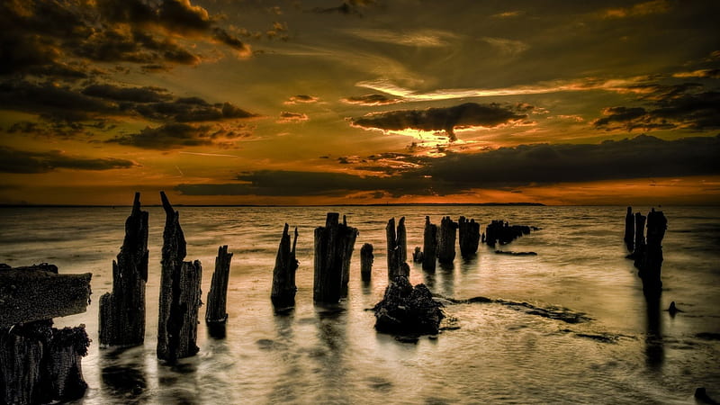 old wood pilings on shore at sunset, shore, pilings, sunset, clouds, sea, HD wallpaper