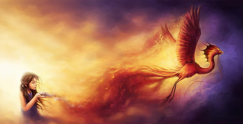 An End and a New Beginning, fire, girl, phoenix, an end and a beginning, by sanguisGelidus, new birth, ashes, HD wallpaper