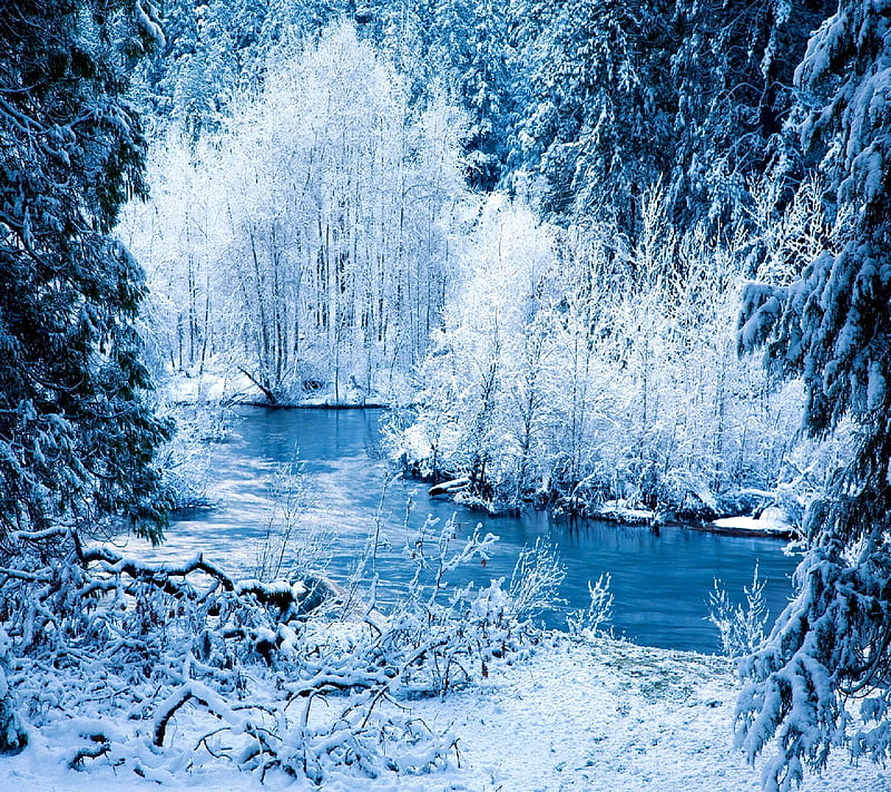 Winter, HD wallpaper | Peakpx