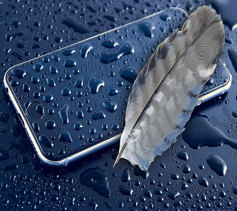 Drops, blue, feather, rain, wet, HD wallpaper