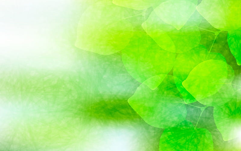 green leaves, green glare, abstract leaves, creative, abstract nature background, HD wallpaper