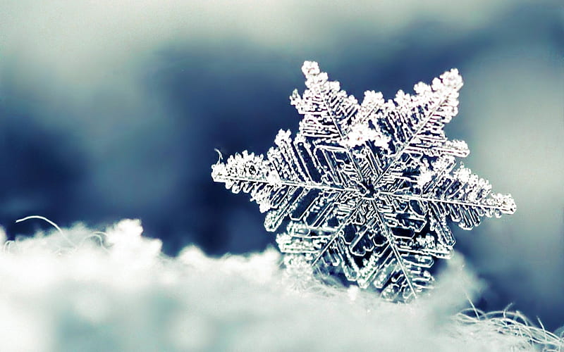 Snowflake, pretty, wonderful, stunning, ground, bonito, nice, season, star,  amazing, HD wallpaper | Peakpx