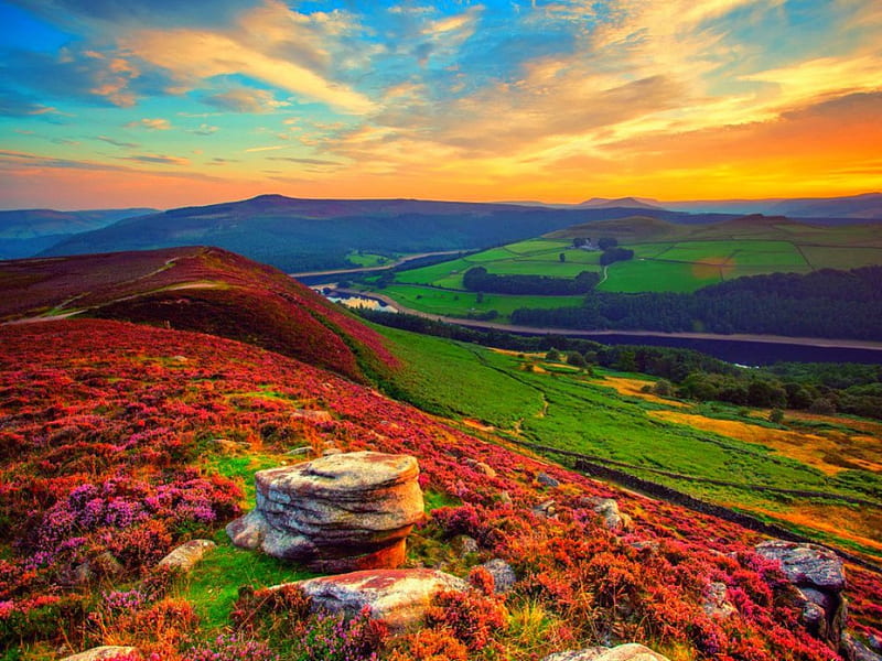 sunrises and sunsets scenery grass hill 5k MacBook Air Wallpaper Download |  AllMacWallpaper