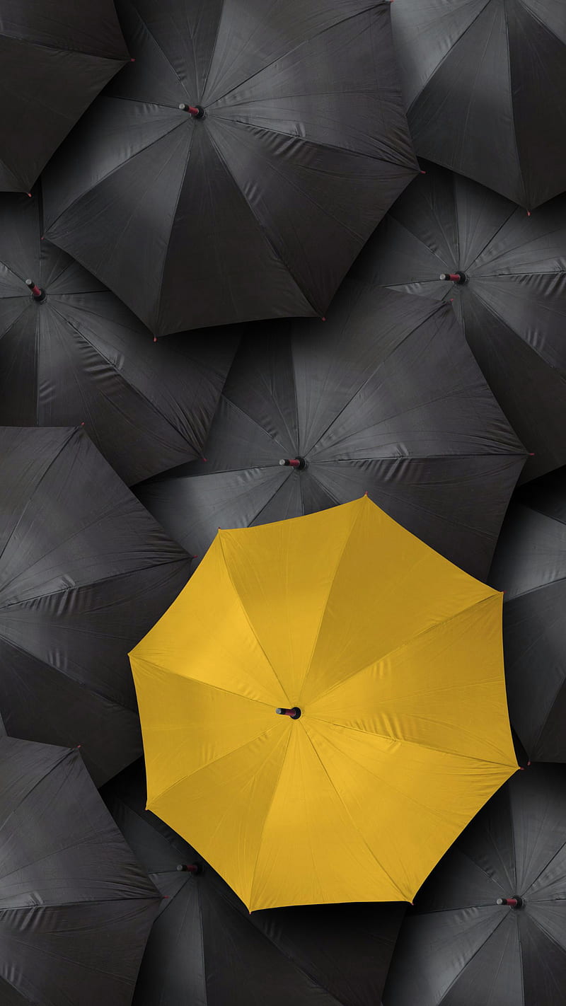Yellow umbrella, black, umbrella, yellow, HD phone wallpaper | Peakpx