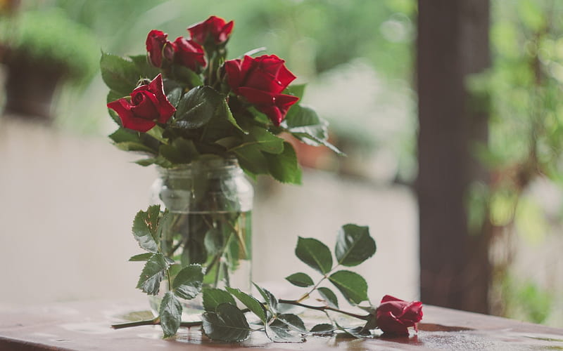red roses, red flowers, glass vase, bouquet of roses, HD wallpaper