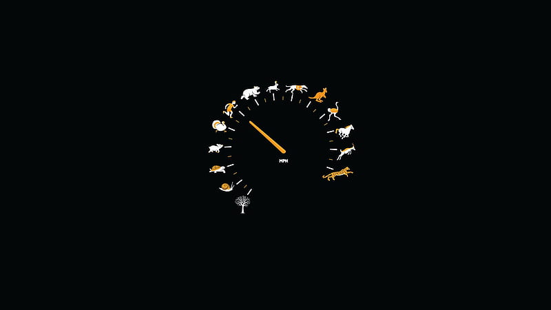 Speedo meter, cute, speedometer, good, dark, speedo, black, funny, HD  wallpaper | Peakpx