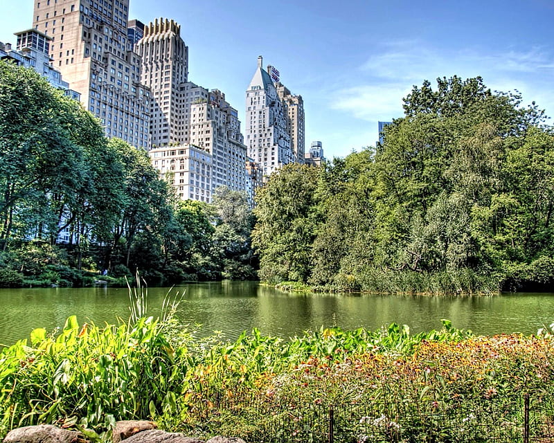Summer comes to Central Park. Central park nyc, Central park, Central park winter, New York Summer, HD wallpaper