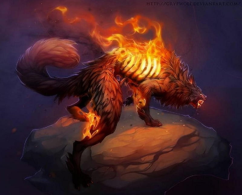 'Spirit fire wolf'....., spirit, mystical, fire, wolf, HD wallpaper