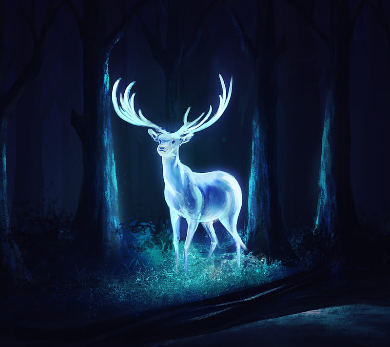 Magical Deer, hunter, buck, head, bucks, hunting, stag, white, tail, HD wallpaper