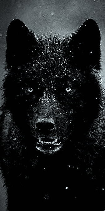Wolf Dark Art Wallpapers  Wolf Aesthetic Wallpapers for iPhone 4k