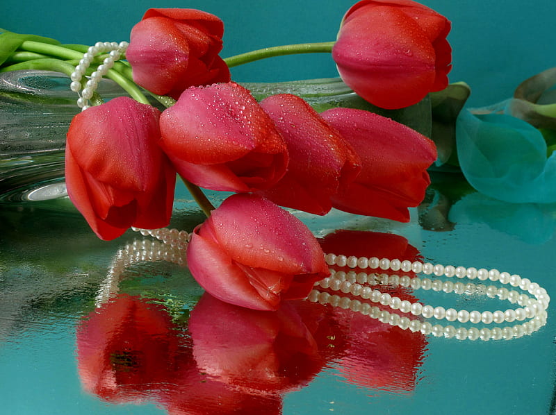 Tulips, red, pretty, wet, vase, bonito, drops, still life, graphy, nice, flowers, pearls, reflection, tulip, harmony, lovely, necklace, elegantly, cool, bouquet, flower, HD wallpaper