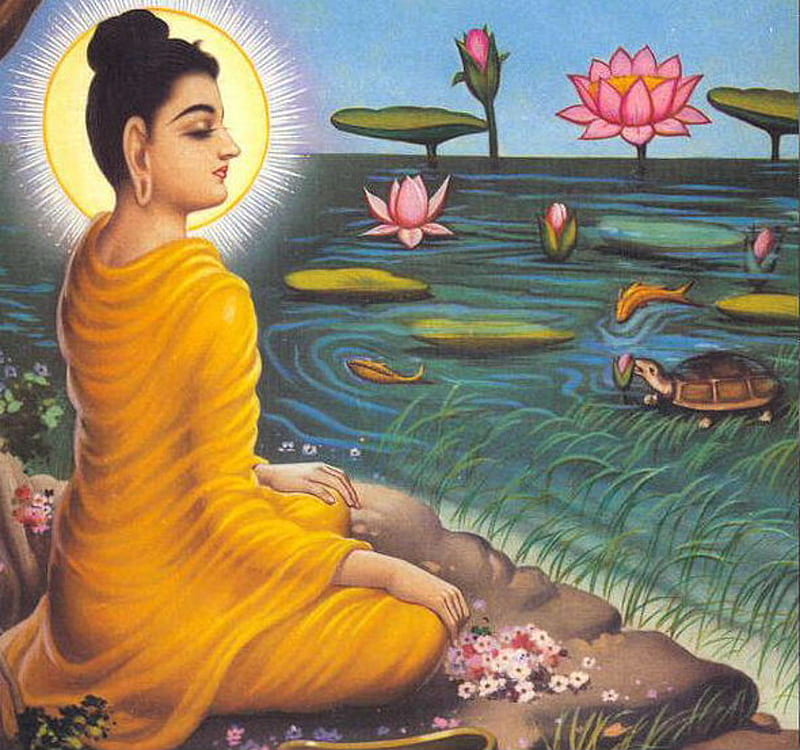 Lotus Turtle, buddha, painting, lotus, HD wallpaper