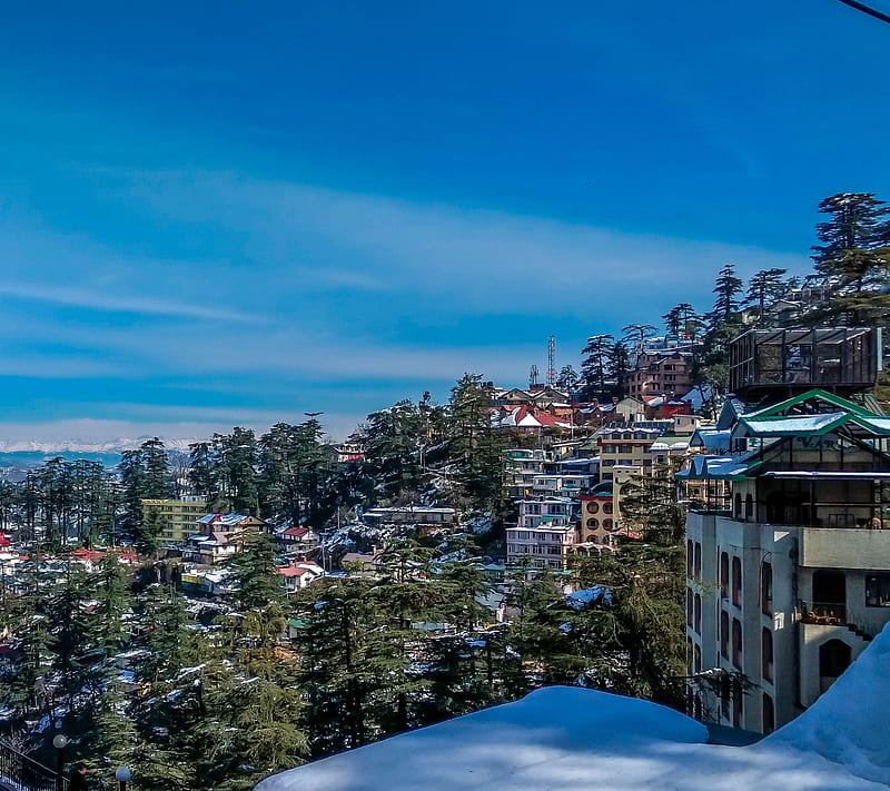 Enjoy-the-Snow-in-Shimla-Wallpaper-min | OSR Vacation