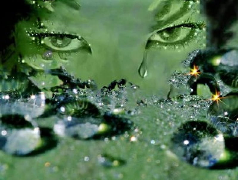 Green is beautiful, water droplets, glitter, green eyes, tears, beauty, watching, woman, HD wallpaper