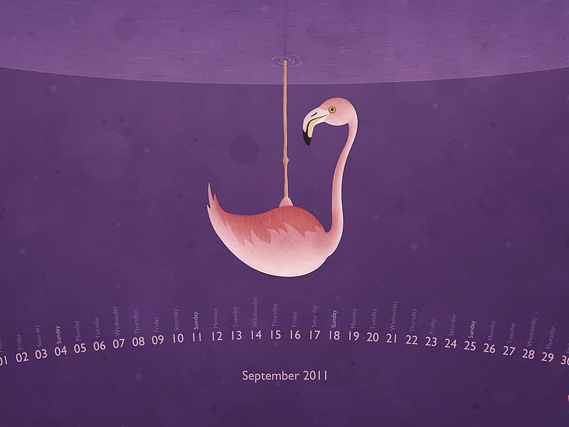 Flamingo-September 2011-Calendar, HD wallpaper