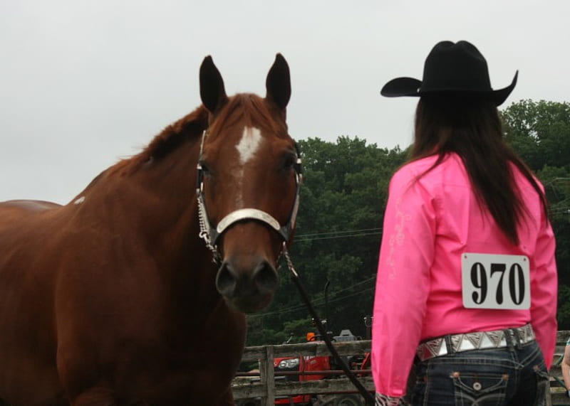 Женщина на лошади. There's nothing quite so Special as the Bond between a girl, her Horse and her doq ho. E Horze.