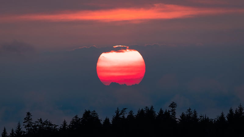 Pink Hour Vancouver Island Sunset , sunset, sunrise, nature, HD wallpaper