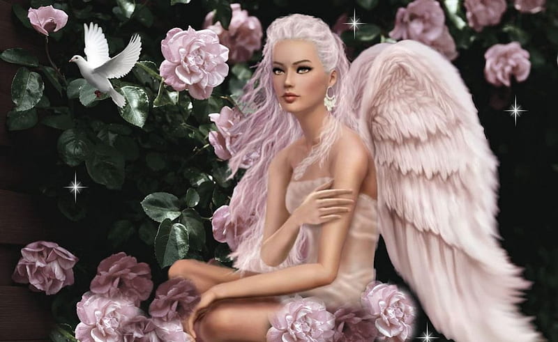 Pink Rose Angel, angel, black, roses, floral, green, flowers, dove, white, pink, HD wallpaper