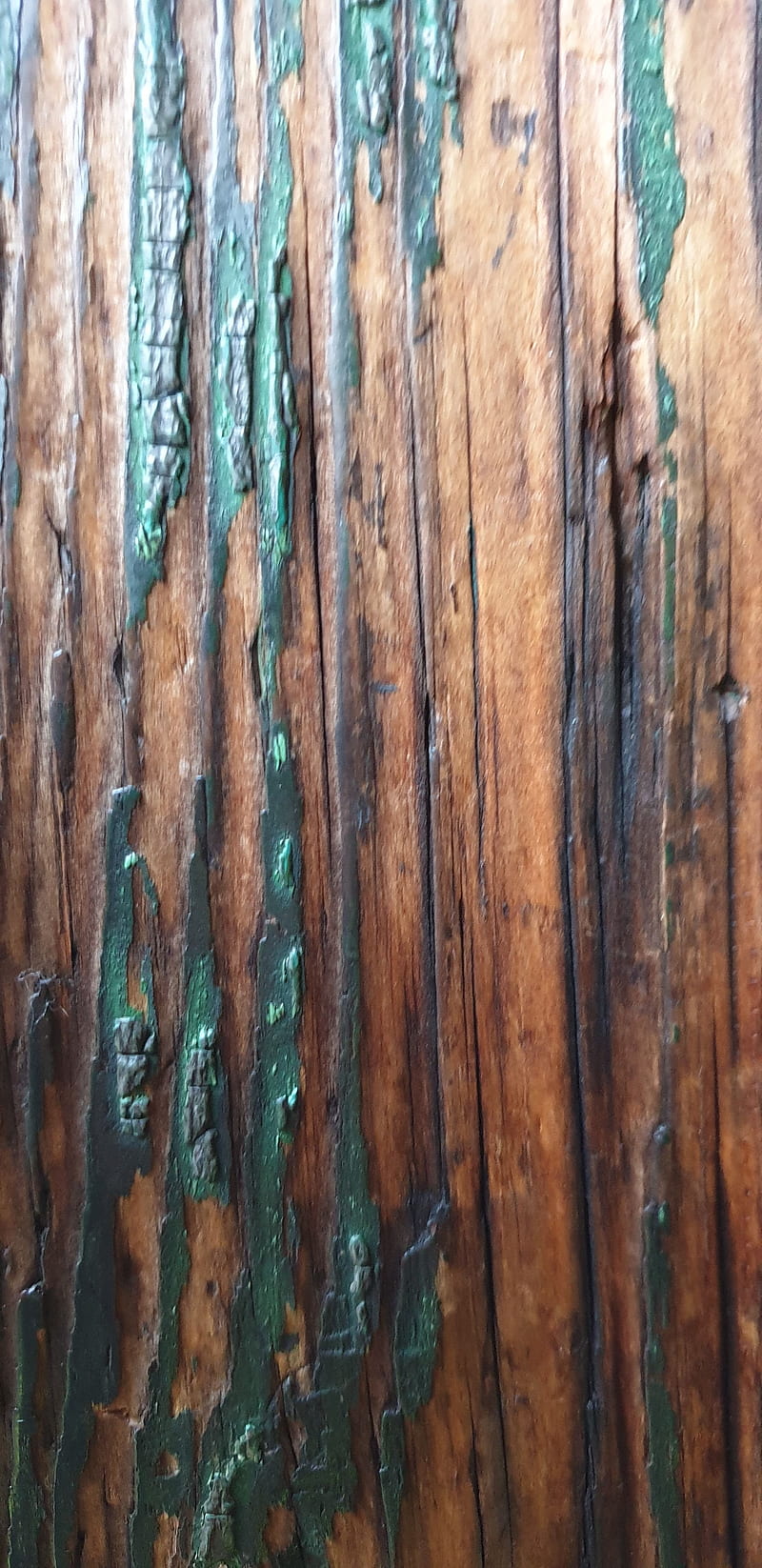 old wood, grain, texture, wall, wood, HD phone wallpaper