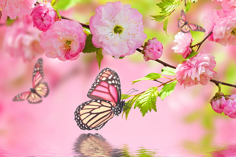 Cherry Blossom, art, bonito, blossom, butterflies, cherry, flowers, HD wallpaper
