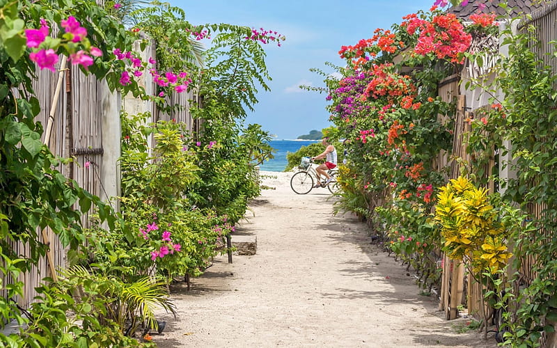 Flower Path to Sea, bicycle, flowers, sand, sea, wooden, HD wallpaper