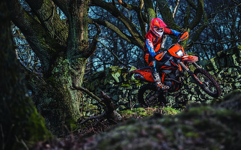 KTM 350 EXC-F extreme, 2019 bikes, forest, offroad, 350 EXC-F, Motocross, KTM, HD wallpaper
