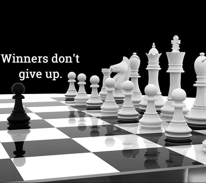 winners, chess, cool, game, life, live, new, quote, saying, sign, HD wallpaper