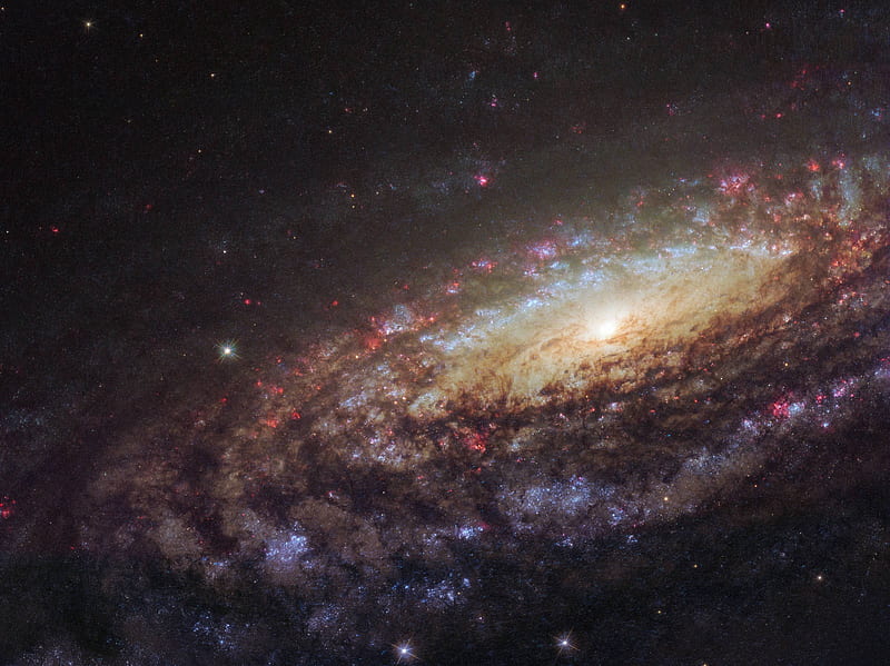 NGC 7331 Close-Up, stars, cool, space, fun, galaxies, HD wallpaper