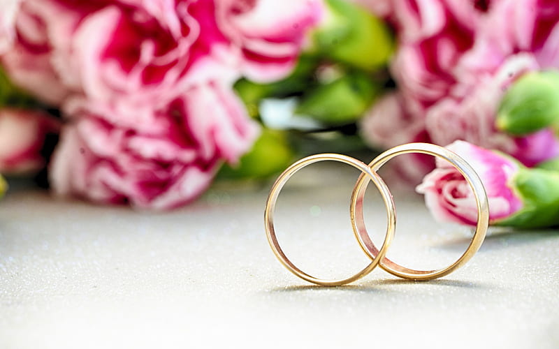 Wedding rings, background with pink roses, wedding concepts, pair of rings,  gold rings, HD wallpaper | Peakpx