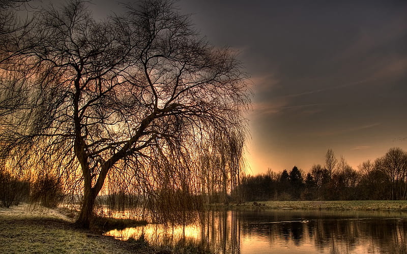 Morning in Northern Germany, water, nature, sunrise, morning, reflection, trees, sky, HD wallpaper