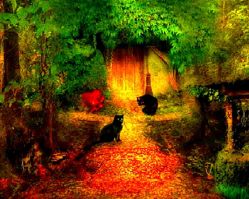The coven, coven, art, bright colors, home, cat, HD wallpaper