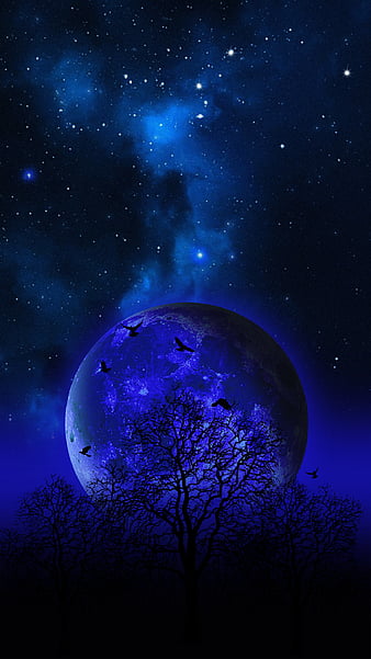 Blue moon for mobile HD wallpapers  Pxfuel