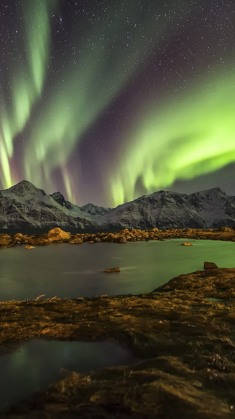 Northern Light, aurora, borealis, landscape, lights, night, north, pole, sky, HD phone wallpaper