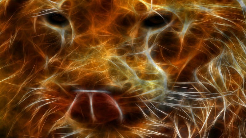 Fire Lion . jpg, fire, cat, lion, animal, HD wallpaper