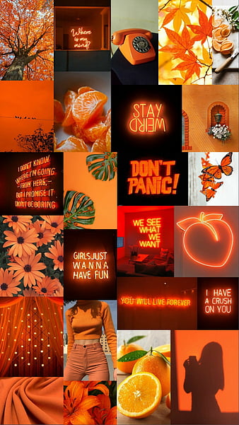 Màu cam đại diện thu được ưa chuộng Background aesthetic orange cho các  thiết kế liên quan đến văn hóa và nghệ thuật