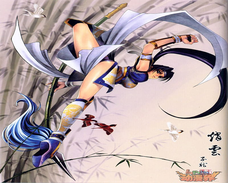 Zhao Yun, fly, female, anime girl, kick high, dynasty warriors, HD wallpaper