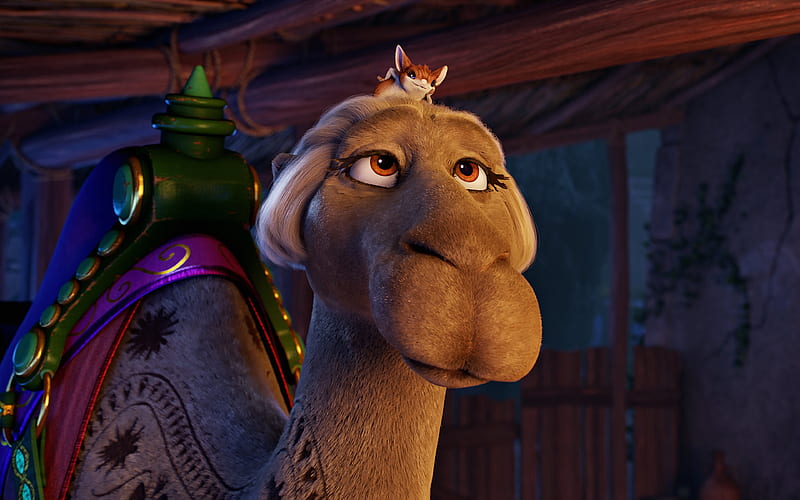 Felix, camel 2017 movie, 3d-animation, The Star, HD wallpaper