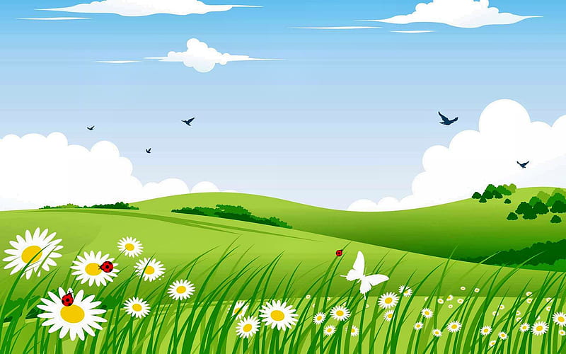 flowers in the meadow, flowers, nature, fun, meadow, HD wallpaper