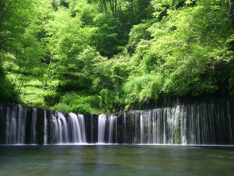 Rain forest Waterfall, waterfall, forest, rain, green, HD wallpaper