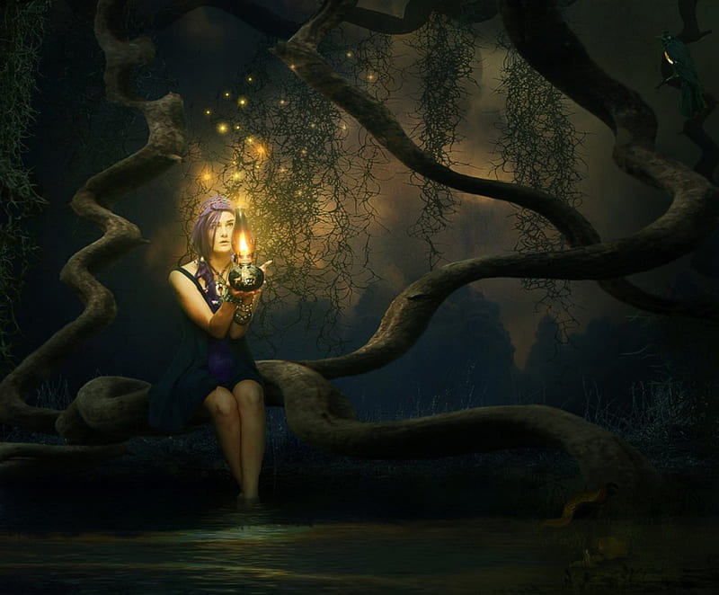 Fireflies in the forest, tree, lantern, girl, sitting, fireflies, night, HD wallpaper